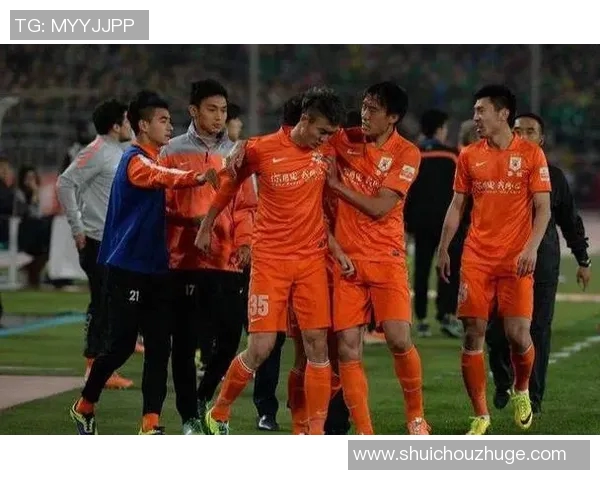 成都排球队配合问题引发热议球迷与专家各抒己见探讨争议背后的真相