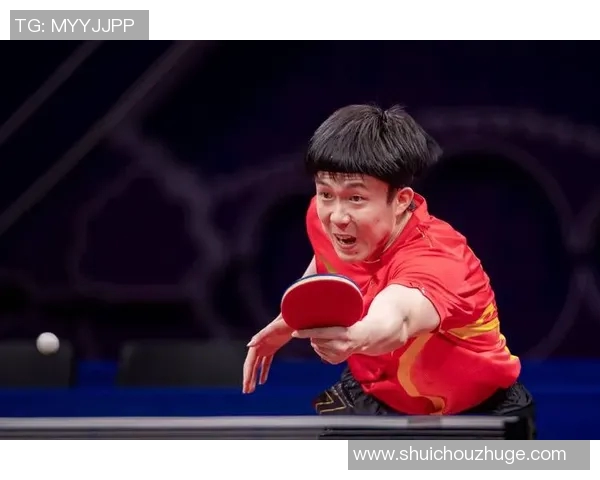 杭州乒乓球队实力引发热议球迷与专家观点交锋解析