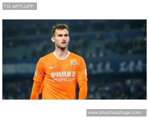 武汉网球队实力分析：聚焦其在国内外赛事中的表现与发展潜力