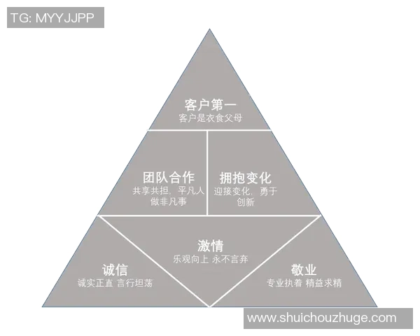 杭州羽毛球队在杯赛中的团队协作表现分析与启示