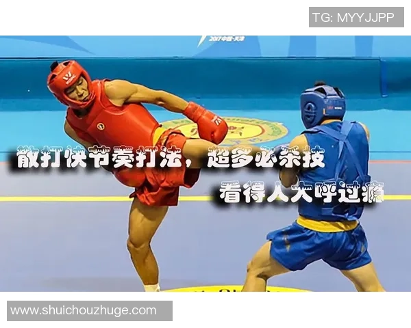 成都与杭州排球队的对决分析与节奏掌控的深度剖析