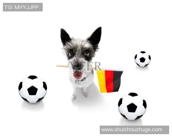 足球明星们的宠物选择揭秘：他们更爱狗还是猫的背后故事