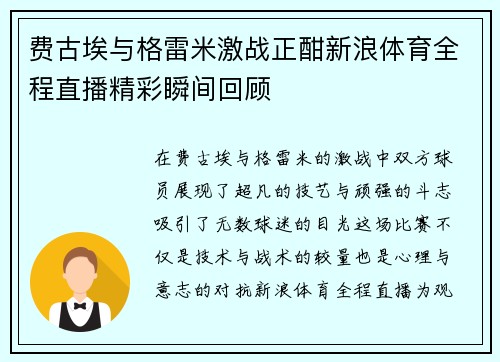 费古埃与格雷米激战正酣新浪体育全程直播精彩瞬间回顾